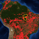 The yellow outlined area shows where the Xingu Indigenous Park sits, as well as the lands of the Kayapó. There were fewer fires (indicated by red dots) burning there as of late August.